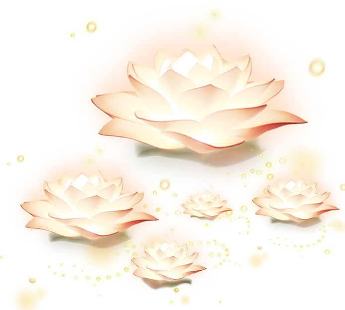 Shining Lotus Flowers